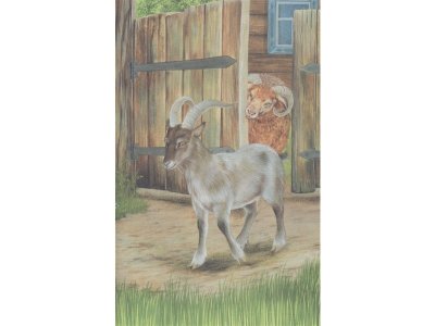 Книга Плутишка кот: сказки (ил. В. и М. Белоусовых, А. Басюбиной) Ушинский К.Д. / Издательство Эксмо 1-00304177_7