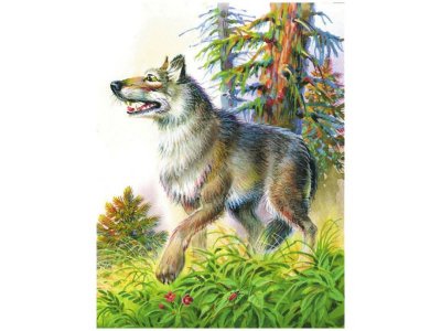 Книга Рассказы и сказки для детей Толстой Л.Н. / Издательство Эксмо 1-00304418_3