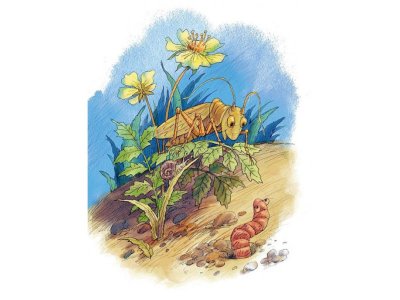Книга Волшебное слово, Осеева В.А. / Издательство Аст 1-00306035_7