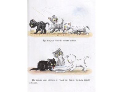 Книга Три сказки для малышей, Сутеев В.Г. / Издательство Аст 1-00235320_5