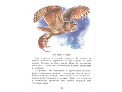 Книга Мышонок Пик. Сказки о животных, Бианки В.В. / Издательство Аст 1-00306293_4