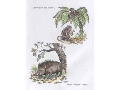 Книга Сказки, песенки, стихи. Рисунки В. Сутеева, Чуковский К.И., Маршак С.Я. / Издательство Аст 1-00306448_5