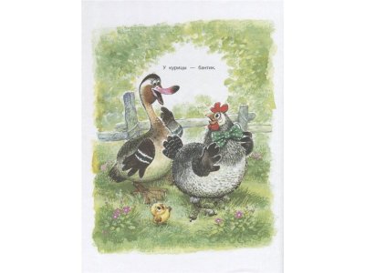 Книга Сказки. Рисунки А.Савченко, Маршак С.Я.,Михалков С.В., Кор / Издательство Аст 1-00306450_6