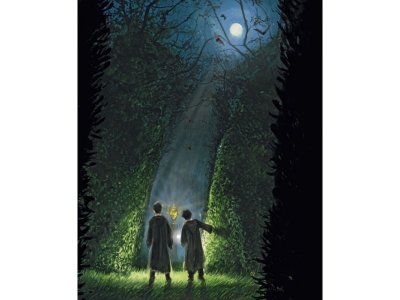 Книга Гарри Поттер и Кубок Огня (с цветными иллюстрациями). Кн.4, Роулинг Дж.К. / Machaon 1-00280460_3