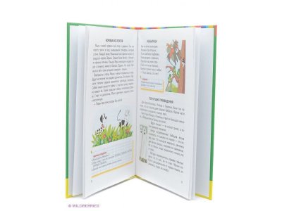 Книга Читаем после Букваря. Ткаченко Т.А. / Издательство Эксмо 1-00304523_3