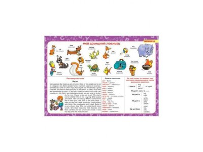 Книга Грамматика и лексика английского языка 2-6 класс / ИД Литера 1-00102662_4