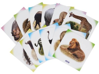 Карточки обучающие Животные Африки / Издательство Алфея 1-00145587_2