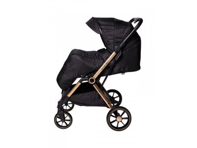 Прогулочная коляска книжка Everflo Spinny 1-00351500_4