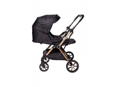 Прогулочная коляска книжка Everflo Spinny 1-00351500_6