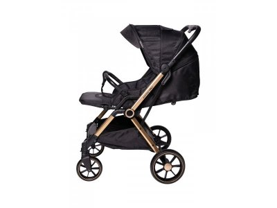 Прогулочная коляска книжка Everflo Spinny 1-00351500_7