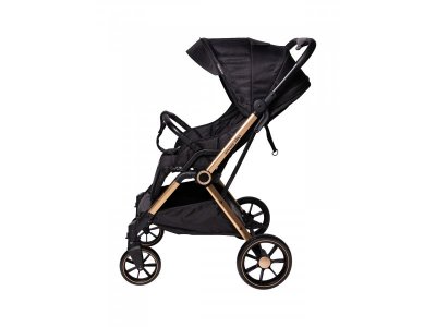 Прогулочная коляска книжка Everflo Spinny 1-00351500_10