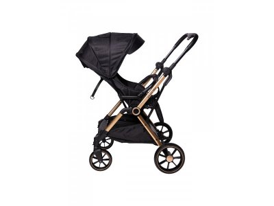 Прогулочная коляска книжка Everflo Spinny 1-00351500_9