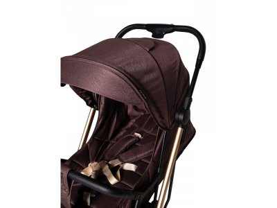 Прогулочная коляска книжка Everflo Spinny 1-00351501_13