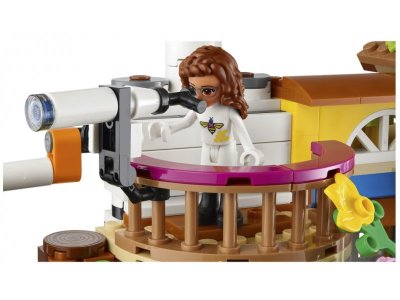 Конструктор LEGO Friends Дом друзей на дереве 41703 1-00359985_10
