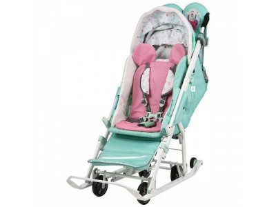 Санки-коляска Nika kids Disney Baby 2 комбинированная с трансфор.кузовом 1-00360521_2