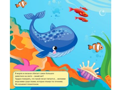 Раскраска многоразовая водная Подводный мир  / Росмэн 1-00371921_3
