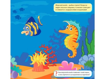 Раскраска многоразовая водная Подводный мир  / Росмэн 1-00371921_9