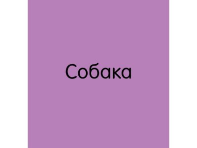 Книга 15 книжек-кубиков. Познаем мир вместе. Мои любимые животные, Уткина Ольга / Издательство Clever 1-00380624_5