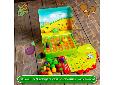 Набор развивающий IQ-Zabiaka Любимый огород 1-00381803_3