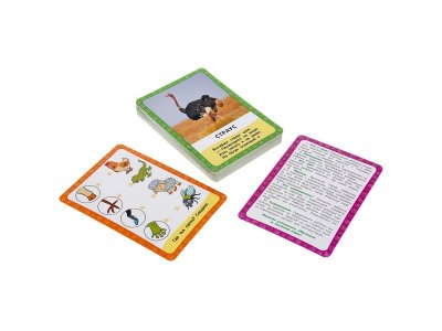 Карточки развивающие Умные игры Домашние животные А.В.Степанов, 36 штук 1-00355559_4