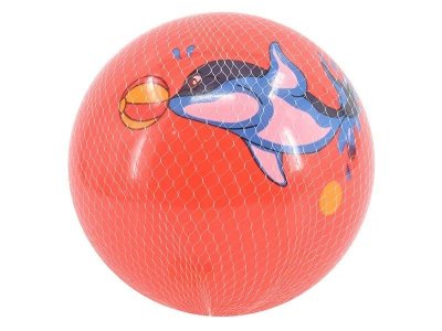 Мяч Jinfu Toys 23 см 1-00385414_1