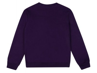 Свитшот Palloncino Tropic 1-00387668_3