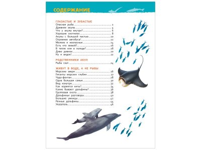 Книга Росмэн Акулы, киты и дельфины.Энциклопедия для детского сада 1-00398057_5
