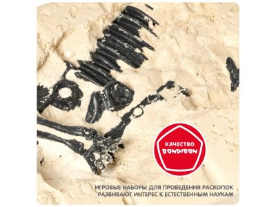 Набор Bondibon Исторические раскопки Науки с Буки, Брахиозавр 1-00405849_12