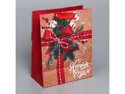 Пакет подарочный Дарите Счастье К тебе с подарком 18*23*10 см 1-00417220_3