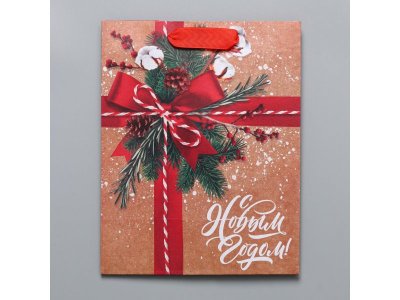 Пакет подарочный Дарите Счастье К тебе с подарком 18*23*10 см 1-00417220_5