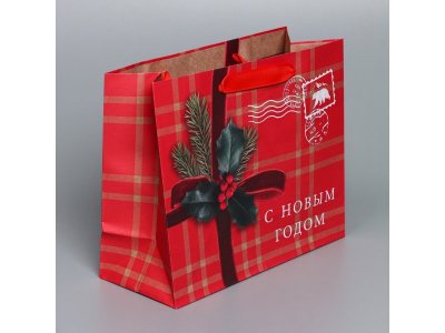 Пакет подарочный Дарите Счастье Бандероль 27*23*11,5 см 1-00417223_2