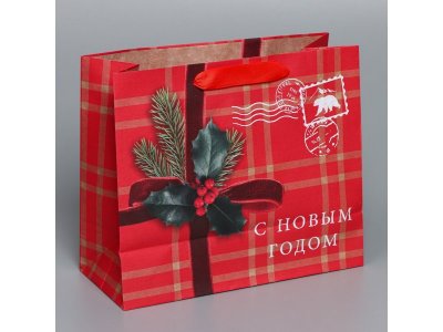 Пакет подарочный Дарите Счастье Бандероль 27*23*11,5 см 1-00417223_3