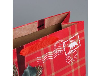 Пакет подарочный Дарите Счастье Бандероль 27*23*11,5 см 1-00417223_4