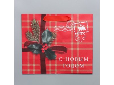 Пакет подарочный Дарите Счастье Бандероль 27*23*11,5 см 1-00417223_5