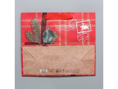 Пакет подарочный Дарите Счастье Бандероль 27*23*11,5 см 1-00417223_6