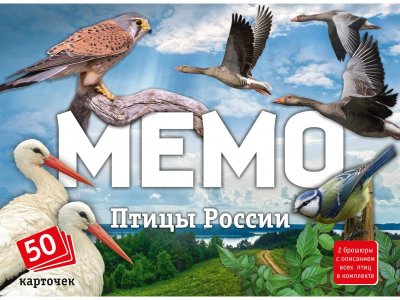 Мемо Нескучные игры Птицы России (50 карточек, в комплекте 2 брошюры) 1-00418021_2