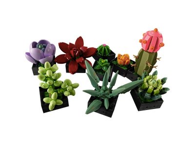 Конструктор LEGO Botanical Collection Кактусы 10309 1-00430323_2