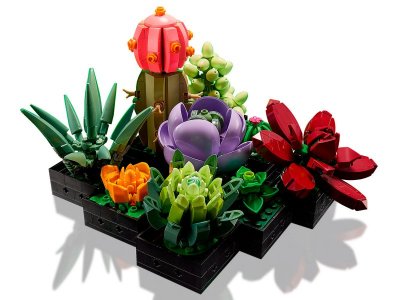 Конструктор LEGO Botanical Collection Кактусы 10309 1-00430323_4