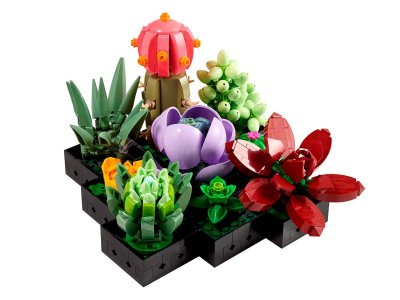 Конструктор LEGO Botanical Collection Кактусы 10309 1-00430323_5