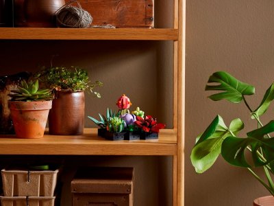 Конструктор LEGO Botanical Collection Кактусы 10309 1-00430323_6