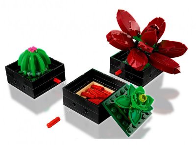Конструктор LEGO Botanical Collection Кактусы 10309 1-00430323_7