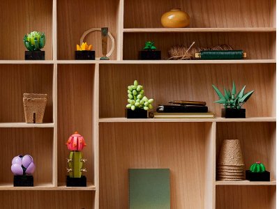 Конструктор LEGO Botanical Collection Кактусы 10309 1-00430323_9