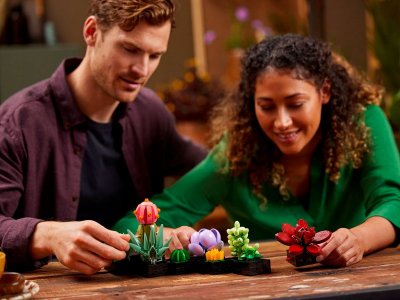 Конструктор LEGO Botanical Collection Кактусы 10309 1-00430323_11
