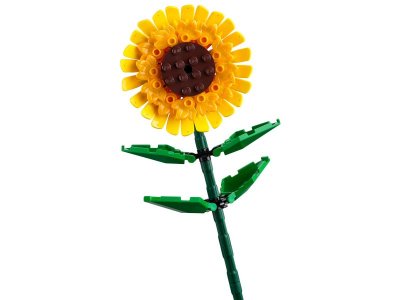 Конструктор Lego Botanical Collection Два Подсолнуха 1-00430325_5