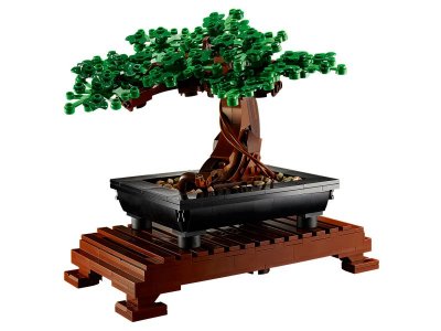 Конструктор Lego Botanical Collection Бонсай 1-00430341_1