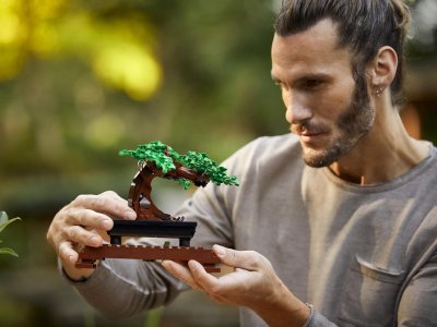 Конструктор Lego Botanical Collection Бонсай 1-00430341_3