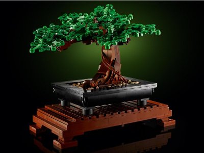 Конструктор Lego Botanical Collection Бонсай 1-00430341_7