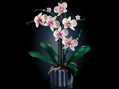 Конструктор LEGO Icons Орхидея в горшке 10311 1-00430342_7