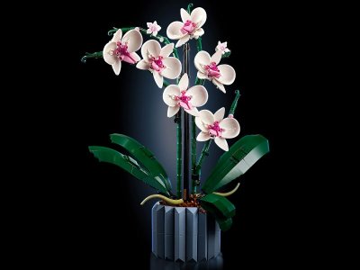 Конструктор LEGO Icons Орхидея в горшке 10311 1-00430342_8