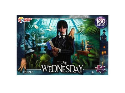 Пазл Умные игры I love Wednesday 160 деталей 1-00432107_1